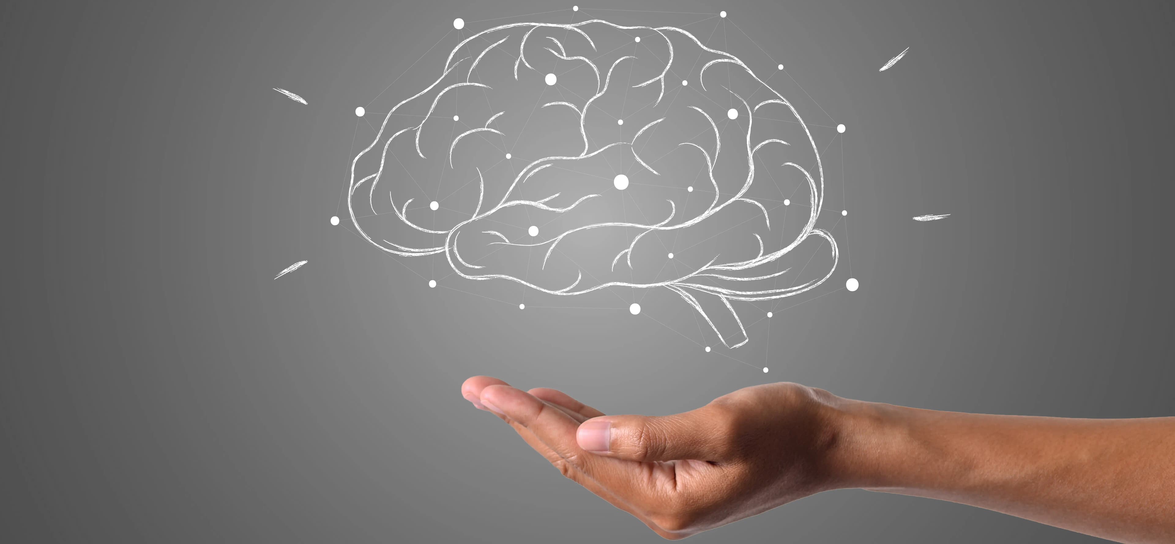 Image d'illustration pour une avancé majeure dans le domaine de la santé - main sous un cerveau